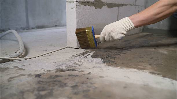 Top rated local Basement Waterproofing specialists in Paeonian Springs, VA